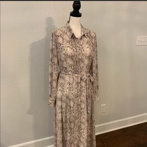 Ann Taylor Loft Dress